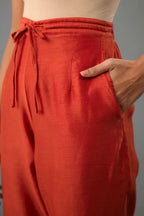 Rust silk chanderi straight pants with dori and contrast silk thread embroidery,  detailed with gold sequins work.