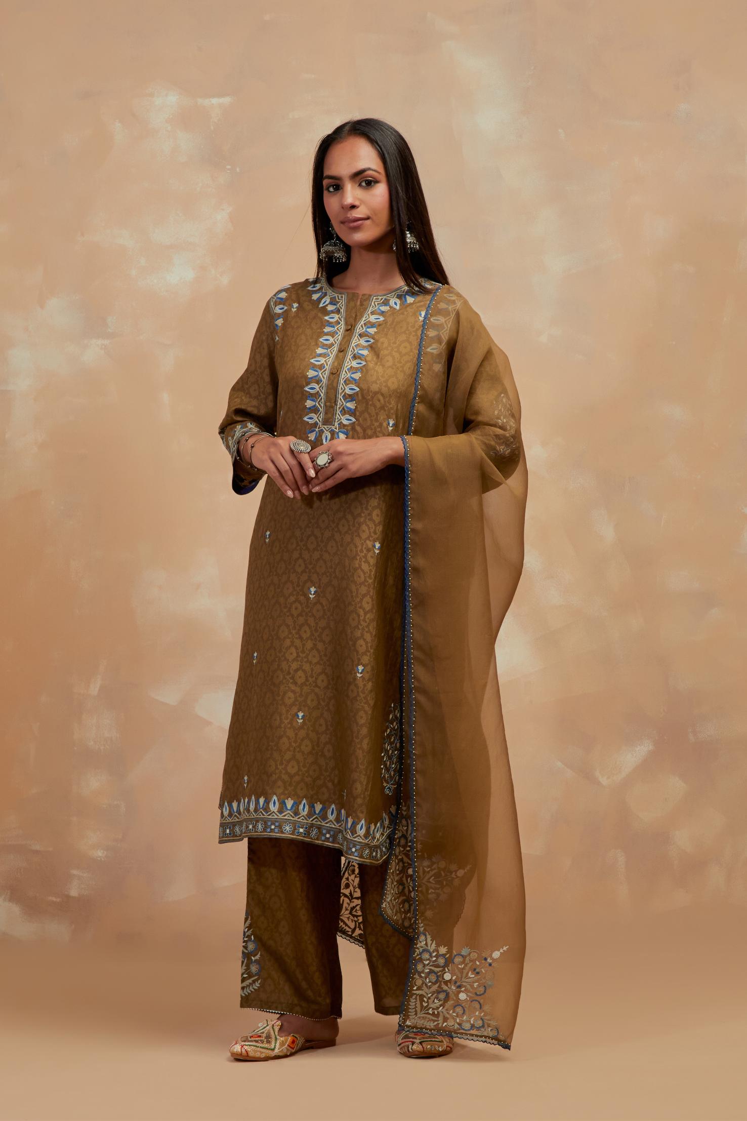 Dark olive silk organza dupatta with multi colored silk thread embroidery at dupatta all four corners.
