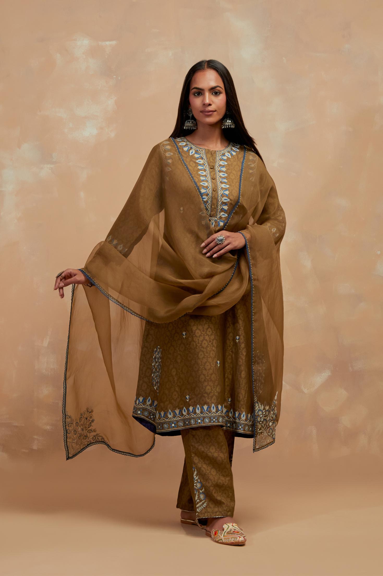 Dark olive silk organza dupatta with multi colored silk thread embroidery at dupatta all four corners.