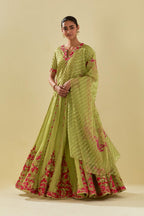 Green silk organza dupatta with delicate gold zari embroidery & silk applique work, highlighted with gold sequins and beads.