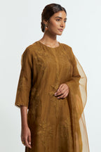 An olive straight silk organza kurta set featuring a round neckline, adorned with delicately placed silk floral boota appliqués and sequin work.
