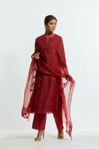 Red silk organza straight kurta set featuring an all-over silk appliqué trellis jaal, delicately highlighted with subtle sequins.