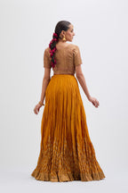 Yellow Silk Chanderi choli set with all-over gold gota work. It has a deep V neckline in the front, short sleeves and side zip.