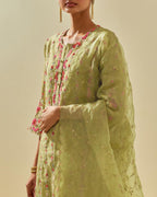 Green silk organza dupatta with all-over delicate gold zari embroidery & silk applique work, highlighted with gold sequins.
