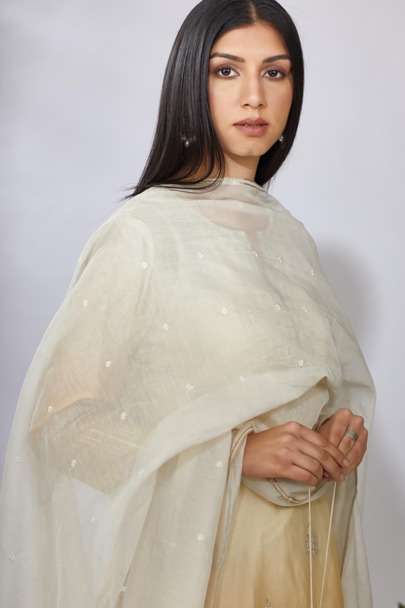 Ombre dyed straight kurta set, detailed with floral thread and zari embroidery