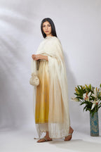 Ombre dyed straight kurta set, detailed with floral thread and zari embroidery