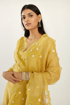 Yellow silk chanderi hand block printed straight kurta set, highlighted with scalloped organza at edges.