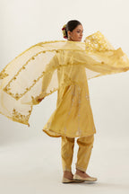 Yellow organza dupatta with heavy silk chanderi appliqué embroidery and gota flower detail.