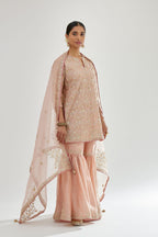 Pink silk organza dupatta with dori and gota embroidery at edges, highlighted with contrast bead work.