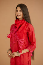 Red hand crushed silk straight kurta set with silk and organza cutwork embroidery, highlighted with hand attached mirrors.