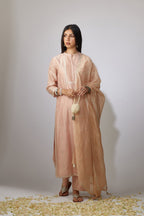 Pink straight Chanderi kurta set with aari embroidery