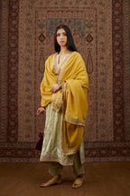 Soft green silk velvet straight kurta set with all over heavy gold gota and zari embroidery.
