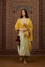 Soft green silk velvet straight kurta set with all over heavy gold gota and zari embroidery.