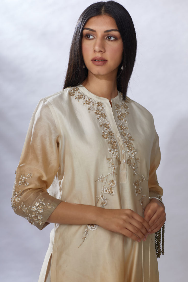 Ombre dyed straight kurta set, detailed with gota and sequin embroidery